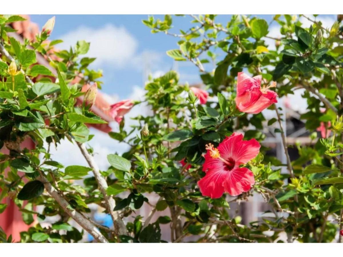 Hotel Pescatore Okinawa - Vacation Stay 20882V Наха Экстерьер фото